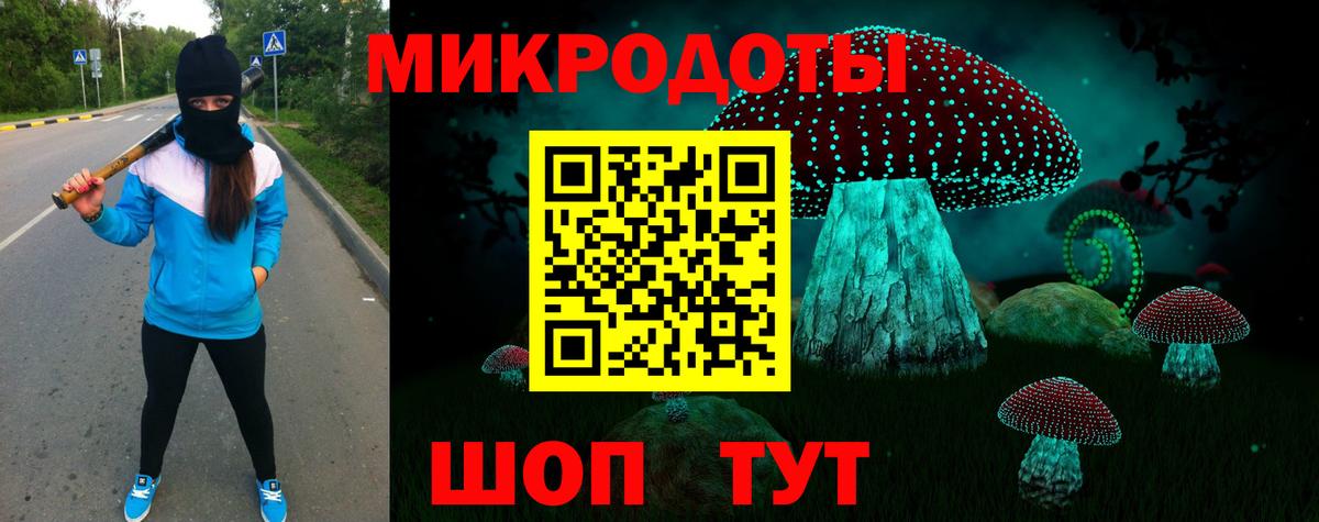 Псилоцибиновые грибы мухоморы  Галлюциногенные грибы Cubensis  где купить наркоту  Вход с VPN  Приморско-Ахтарск 